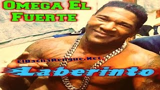 Omega El Fuerte  Laberinto Merengue 2017 [upl. by Nemra288]