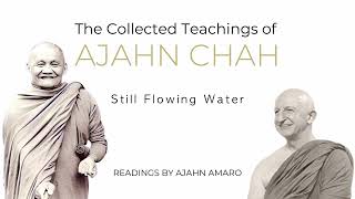 The Collected Teachings of Ajahn Chah  Chapter 34  Still Flowing Water [upl. by Braden581]