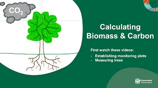 Calculating biomass and carbon [upl. by Asimaj438]