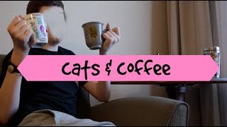 CATS amp COFFEE  TREVOR MORAN [upl. by Odilia]