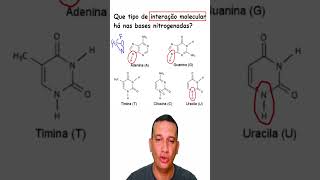 Força intermolecular das bases nitrogenadas dicasdequimica enemdicas [upl. by Lemart]