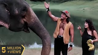 Safari Full Movie HD सफारी पूरी मूवी 1999 Sanjay Dutt Superhit Hindi 90s Film Juhi Chawla Tanuja [upl. by Dixon28]