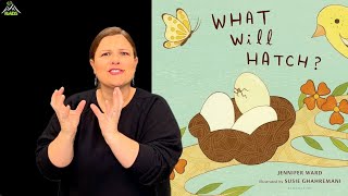 quotWhat Will Hatchquot  ASL Storytelling [upl. by Damien]