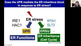 Sphingolipids and the Unfolded Protein Response  Sep 7th 2020 [upl. by Dibb]