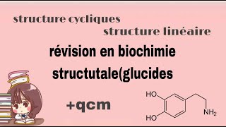 révision en biochimie structurale les glucides [upl. by Seftton]