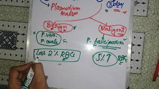 types of malaria part 3🛑🛑malaria plasmodium life cycle malaria plasmodium falciparum parasitology [upl. by Gascony]