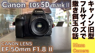 【デジタルカメラオートフォーカスレンズ】Canon 5D mark Ⅱ 旧型フルサイズ機に撒き餌軽量標準レンズEF50mm F18Ⅱを付けて街角スナップ撮ってみた話。 [upl. by Licec741]