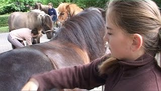 Ferien auf dem Reiterhof Budde in Haltern am See [upl. by Tamaru]