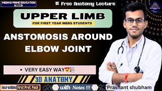 Anastomosis around the Elbow joint  Upper Limb Anatomy  Medico Prime Education mbbs [upl. by Daryle871]