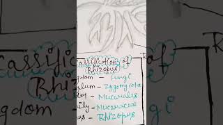 RHIZOPUS Bsc 1st semester botany  music trending viral video [upl. by Mareah882]