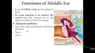 Physiology of Hearing Part I [upl. by Ballou]