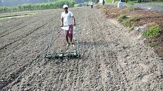 Sowing jute and green gram intercrop for weed smothering and better economy  ICARCRIJAF India [upl. by Nazario69]