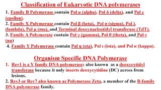 DNA Polymerase Enzyme Video NO 47 [upl. by Einnaoj167]