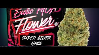 TRYING OUT SOME SATIVA STRAINS BY THCAHIGHLIFE THCA REVIEW [upl. by Arodaeht]