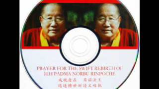 Prayer for the Swift Rebirth of Penor Rinpoche [upl. by Sena]