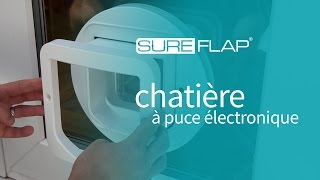 Installation de la chatière SureFlap dans du verre [upl. by Tilly916]