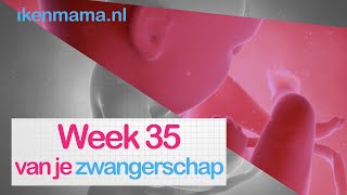 35 weken zwanger  ikenmamanl [upl. by Earb]