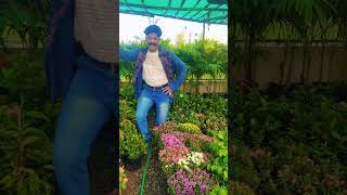 kila kila navve songsuryavamsam movievenkateshmeena youtubeshorts dance shorts [upl. by Mcneil]