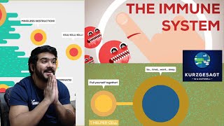 The Immune System Explained I – Bacteria Infection Kurzgesagt CG Reaction [upl. by Dirfliw]