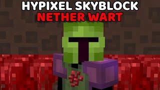 Best Nether Wart Farm On Hypixel Skyblock [upl. by Imoen469]