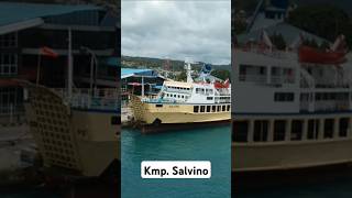 Kmp Salvino milik PT Samudera Ferry kapal ship shorts fyp [upl. by Simara]