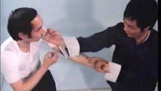 Wing Chun Basic Techniques part 1 [upl. by Analat891]