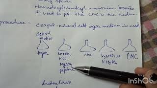 Cellulase producing microbe cellulose degradation practical [upl. by Nyral]