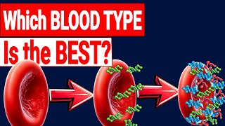 Blood Types explained in 5 minute [upl. by Frances]