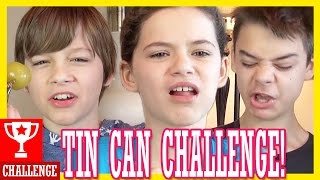 THE TIN CAN CHALLENGE  KITTIESMAMA [upl. by Peyton]