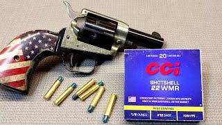 CCI 22 Magnum Snake Shotshell Shooting Review  Are They Really Effective [upl. by Rosalind]