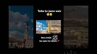 Taiba ke jaane wale shortvideo shorts short ytshorts youtubeshorts islamicsong islam [upl. by Aleda244]