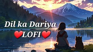 Dil ka Dariya ❤️‍🩹 LOFIFemale  Romantic song HIPHOP 🎶 2024 [upl. by Dredi234]