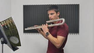 Schiller Bass Flute ReviewOverview [upl. by Calendra159]