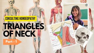 Triangles of Neck  Part1  Consulting Homoeopathy  Shreyan Tayal [upl. by Casmey]