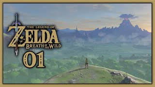 The Legend of Zelda Breath of the Wild  01 [upl. by Anelem]