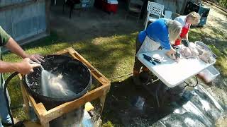 Processing Chickens with a Homemade Plucker [upl. by Burnley]