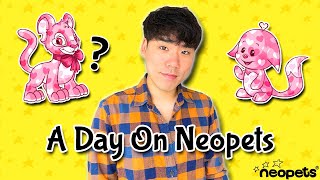 A Day On Neopets [upl. by Dranrev48]