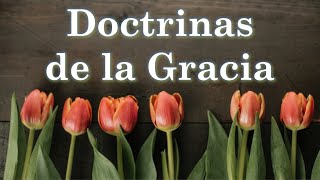 Clase No 41 quotDoctrinas de la Graciaquot  Una final reflexión sobre el sacrificio eficaz [upl. by Sivrup]