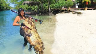 Snorkeling with Reef Sharks at Matamanoa Island Fiji [upl. by Frear]