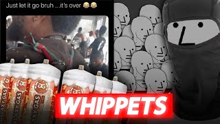 Its OVER for Whippets [upl. by Rie]