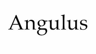 How to Pronounce Angulus [upl. by Ennaid]