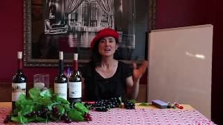 Part 1 The Regions of Malbec with Laura Catena [upl. by Elisee]