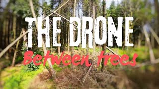 Fpv drone training between trees  DJI avata [upl. by Oruasi]