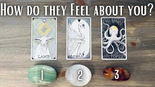 Their Current FEELINGS for You Pick A Card  in Depth Love Tarot Reading [upl. by Syla]