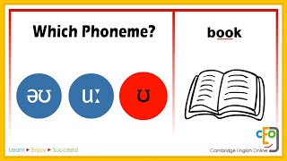 Which Phoneme Part 3 [upl. by Varipapa]