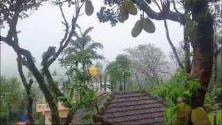 Coorg city Resort stay tour for honeymoon rahul Kumar daily vlogs [upl. by Neb369]