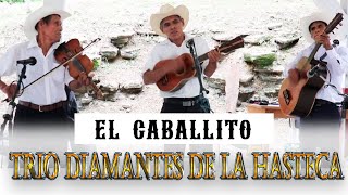 EL CABALLITO  TRIO DIAMANTES DE LA HUASTECA [upl. by Arrait709]