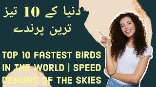 Top 10 Fastest Birds in the World  Speed Demons of the Skies [upl. by Notxed]