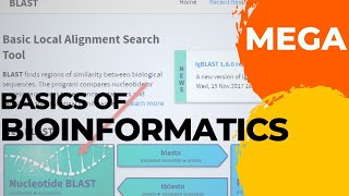 MEGA  Phylogenetic Tree building using MEGA Bioinformatics Malayalam [upl. by Pantia]