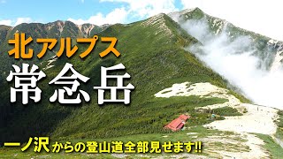 【登山体験】常念岳、北アルプスの名峰へ日帰りで登ってきた！／一ノ沢登山口からの登山道全部見せます！／202309 [upl. by Moss]